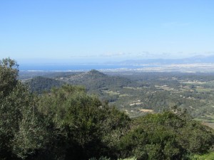 IMG_4426 (Medium)